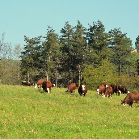 Gites A La Ferme De Bacon Saint-Sylvestre  Eksteriør bilde
